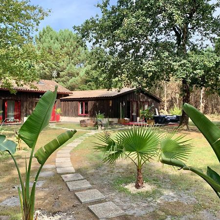 Hacienda De La Canopee Avec Piscine Chauffee Au Sel Hourtin Ngoại thất bức ảnh