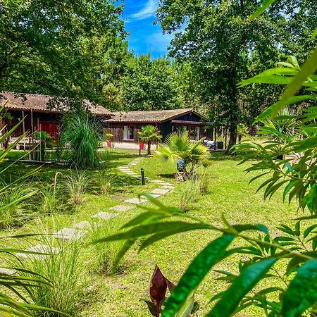 Hacienda De La Canopee Avec Piscine Chauffee Au Sel Hourtin Ngoại thất bức ảnh