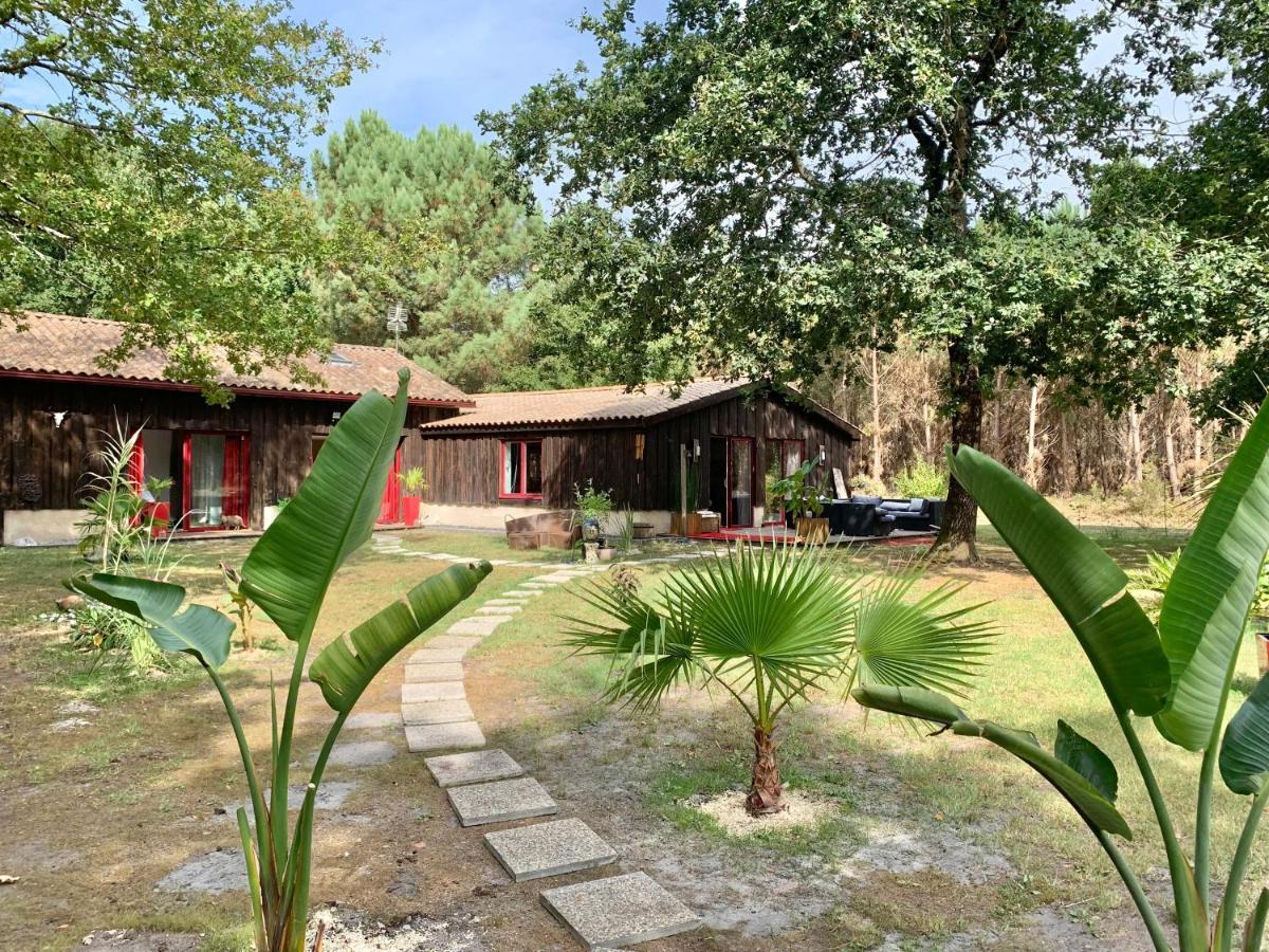 Hacienda De La Canopee Avec Piscine Chauffee Au Sel Hourtin Ngoại thất bức ảnh