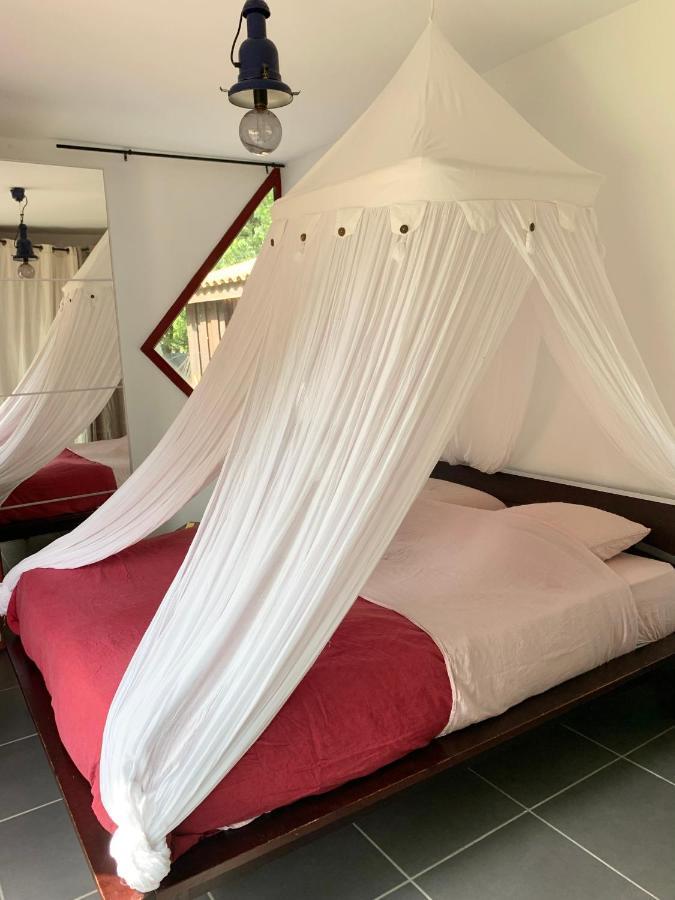 Hacienda De La Canopee Avec Piscine Chauffee Au Sel Hourtin Ngoại thất bức ảnh
