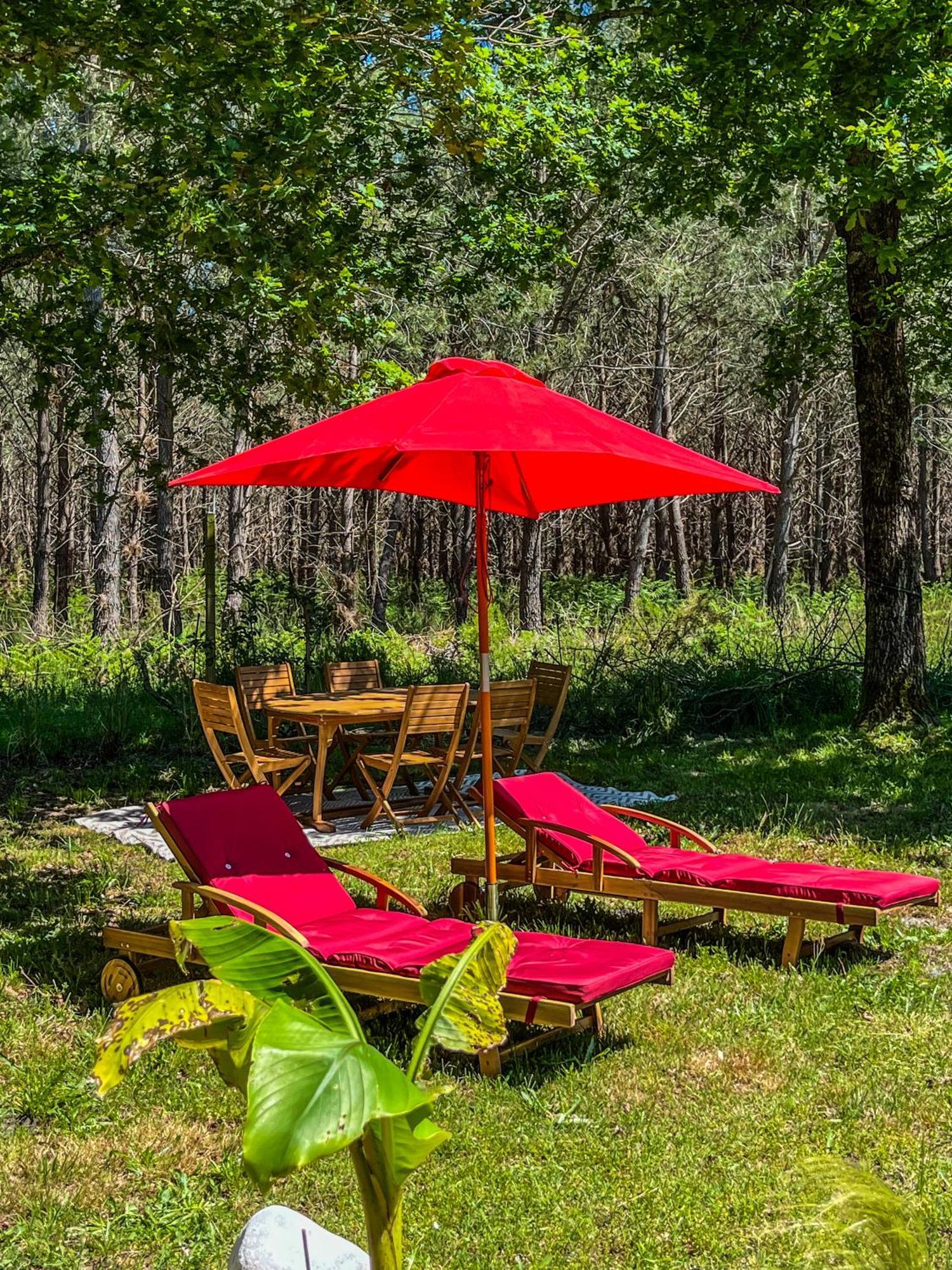 Hacienda De La Canopee Avec Piscine Chauffee Au Sel Hourtin Ngoại thất bức ảnh