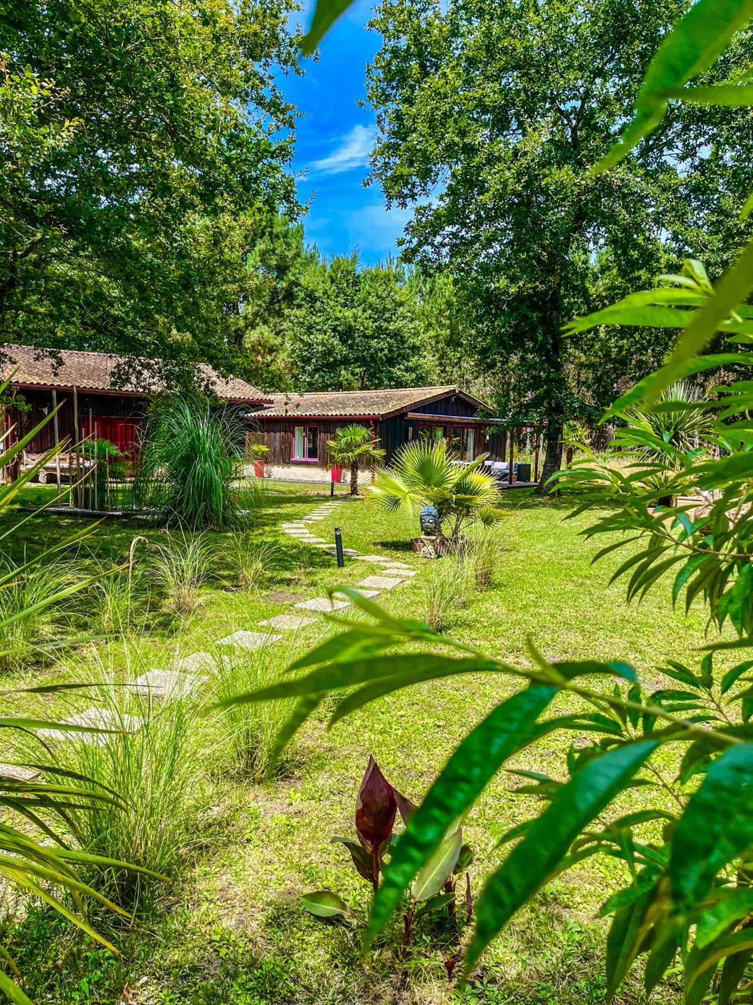 Hacienda De La Canopee Avec Piscine Chauffee Au Sel Hourtin Ngoại thất bức ảnh
